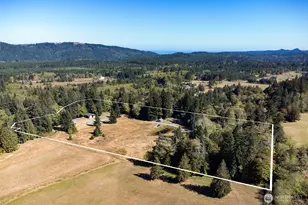 357 Bishop Rd, Joyce, WA 98363 - Photo 3