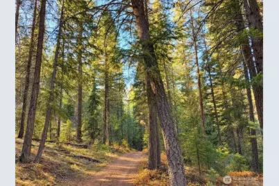 0 W Fork Road, Conconully, WA 98819 - Photo 13