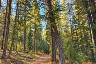 0 W Fork Rd, Conconully, WA 98819 - Photo 13