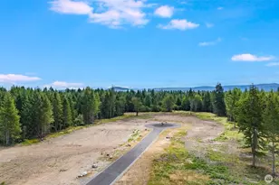 14233 Last Chance Ln SE, Yelm, WA 98597 - Photo 13