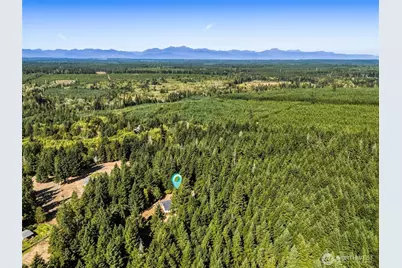40 E Lavender Lane, Shelton, WA 98584 - Photo 3