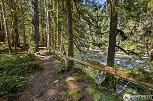 10500 Mt Baker Hwy, Deming, WA 98244 - Photo 35
