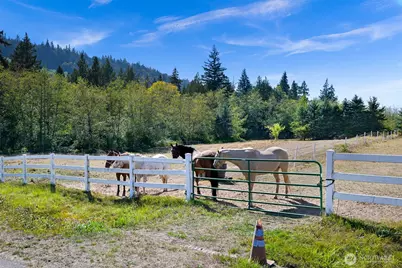 2045 Mt Baker Hwy, Bellingham, WA 98226 - Photo 19