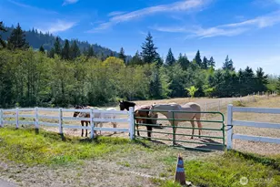 2045 Mt Baker Hwy, Bellingham, WA 98226 - Photo 19