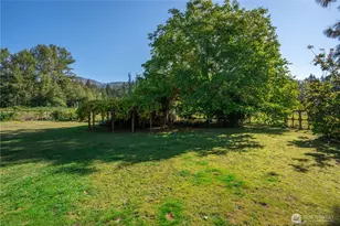 6588 Siper Rd, Everson, WA 98247 - Photo 37
