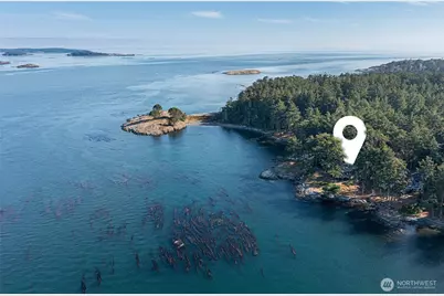 254 Vista Way, Friday Harbor, WA 98250 - Photo 27