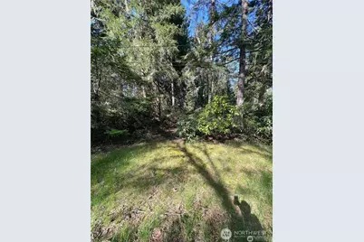 10702 Pioneer Drive, Anderson Island, WA 98303 - Photo 5