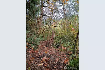 75900 NE 123rd Street, Skykomish, WA 98288 - Photo 37