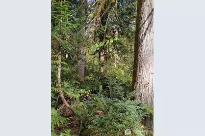 75900 NE 123rd Street, Skykomish, WA 98288 - Photo 27
