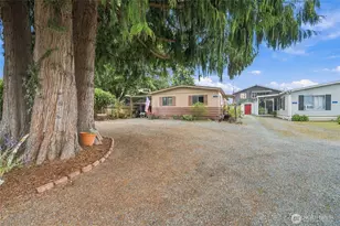 319 Laird Pl, Burlington, WA 98233 - Photo 1