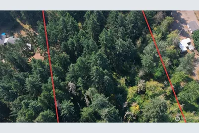 15903 246th Street E, Graham, WA 98338 - Photo 7