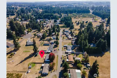 17202 Camus Run Lane SW, Rochester, WA 98579 - Photo 5