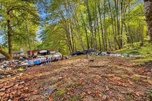 12822 175th Ave SE, Renton, WA 98059 - Photo 3
