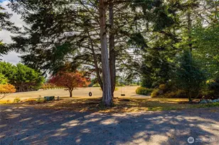 1654 Wind Dancer Pl, Coupeville, WA 98239 - Photo 35
