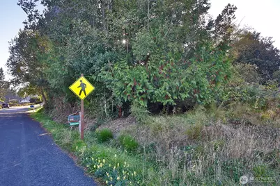 0 Par Drive, Freeland, WA 98249 - Photo 11