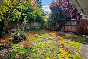 8116 79th St SW, Lakewood, WA 98498 - Photo 23