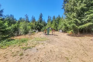 201 Mt Jupiter Rd, Brinnon, WA 98445 - Photo 5