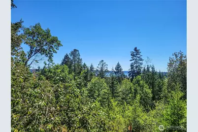 201 Mount Jupiter Road, Brinnon, WA 98445 - Photo 21