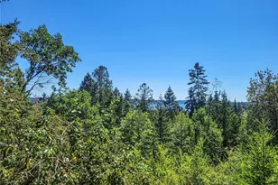 201 Mt Jupiter Rd, Brinnon, WA 98445 - Photo 21