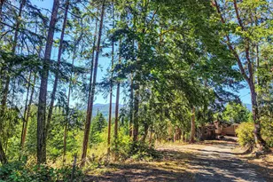201 Mt Jupiter Rd, Brinnon, WA 98445 - Photo 7