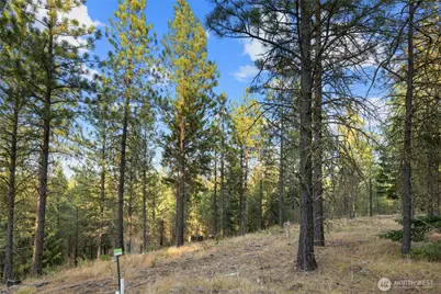 131 Gold Leaf Lane, Cle Elum, WA 98922 - Photo 7