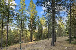 131 Gold Leaf Ln, Cle Elum, WA 98922 - Photo 7