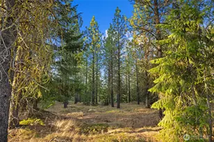 131 Gold Leaf Ln, Cle Elum, WA 98922 - Photo 5