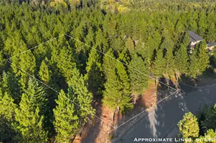 131 Gold Leaf Ln, Cle Elum, WA 98922 - Photo 11