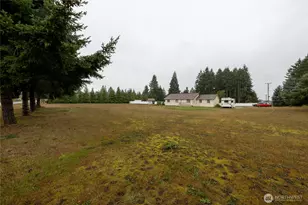 5423 180th Ave SW, Rochester, WA 98579 - Photo 27