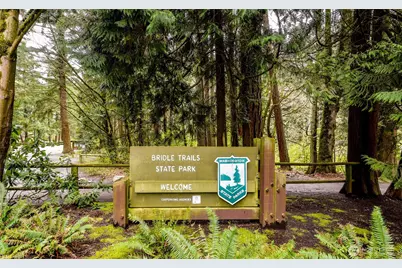 3315 129th Avenue NE, Bellevue, WA 98005 - Photo 39