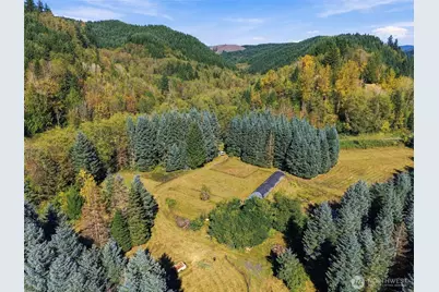 555 Pigeon Springs Road, Onalaska, WA 98570 - Photo 7
