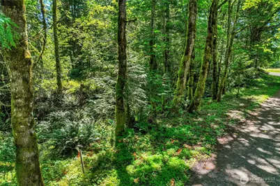 189 Xx 209th Avenue SE, Monroe, WA 98272 - Photo 27