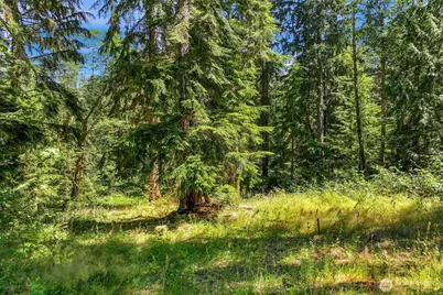 189 Xx 209th Avenue SE, Monroe, WA 98272 - Photo 13