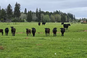 912 Middle Satsop Rd, Montesano, WA 98563 - Photo 13