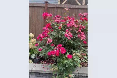 22713 35th Ave SE, Bothell, WA 98021 - Photo 39
