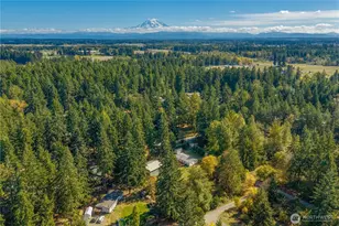 32115 67th Ave S, Roy, WA 98580 - Photo 37