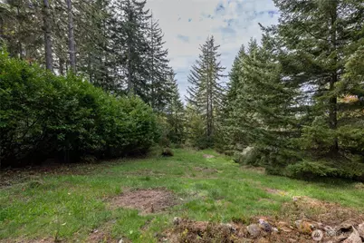 49816 146th Avenue E, Eatonville, WA 98328 - Photo 31