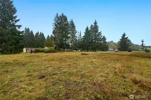 13330 Reeder Rd SW, Tenino, WA 98589 - Photo 37