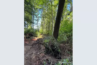 0 East Harbor Drive, Langley, WA 98260 - Photo 3