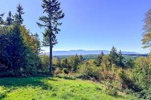 890 No Name Rd, Port Ludlow, WA 98365 - Photo 3