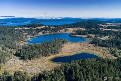 105 Crestview Drive, San Juan Island, WA 98250 - Photo 3