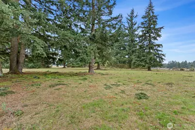 16621 Leitner Road SW, Rochester, WA 98579 - Photo 35