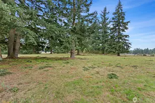 16621 Leitner Rd SW, Rochester, WA 98579 - Photo 35