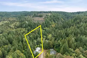 211 NE Yew Tree Ln, Tahuya, WA 98588 - Photo 33