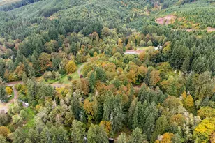 6396 Kalama River Rd, Kalama, WA 98625 - Photo 37