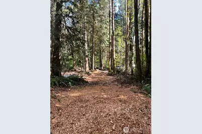 0 Clear Creek Road, Darrington, WA 98241 - Photo 3