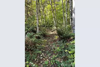 0 Clear Creek Road, Darrington, WA 98241 - Photo 5