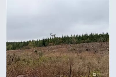 19 Xx Bunker Creek Road, Chehalis, WA 98532 - Photo 13