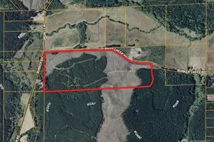 19 Xx Bunker Creek Rd, Chehalis, WA 98532 - Photo 1