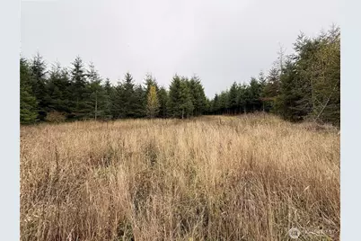 19 Xx Bunker Creek Road, Chehalis, WA 98532 - Photo 3